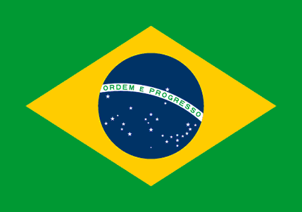 Brazil Flag - Receive a SMS online: SMS receiving service for free multi-country mobile numbers, including paid privacy numbers